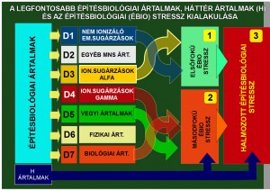 ebio-artalmak-osszegzese-es-az-ebio-str--tablazat-m.jpg